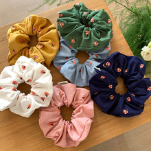 �͹�ɭϵ������cȦ2026�����¿�l�KŮ���Rβ�^���Շ��аllȦ