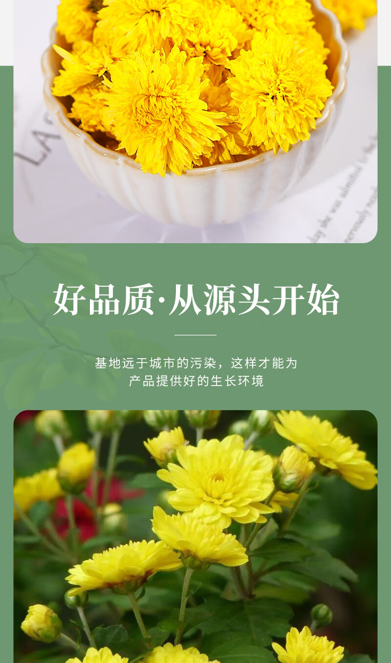 Huang Ju Hua Chrysanthemum Tea Loose Dried Flowers 500g Bag Natural Sun Dried for Brewing key features