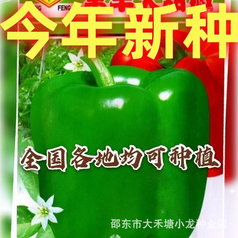 Large Sweet Pepper Seeds Big Sweet Pepper Green Pepper Lantern Pepper Vegetable Pepper Seeds Balcony Spring Autumn Winter Vegetable Seeds