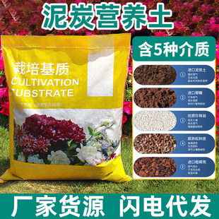 �@ˇ�N�ˠI�B���B�����¼����Զ��⻨��ͨ�����������÷N����̿��