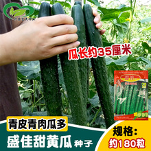 AʢѾGоSϷN rˈ@Nֱһ~һsS