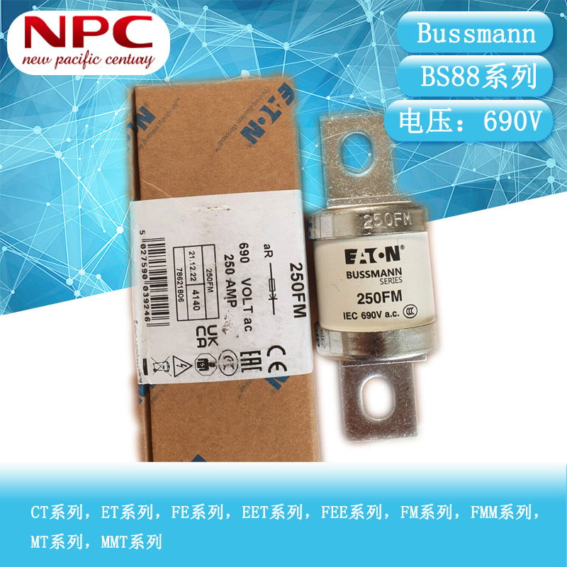 BUSSMANN快速熔断器 BS88系列 250FM 250A 690V 陶瓷保险丝