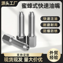 新款黄油枪针式尖嘴凹式尖头蜂针式尖嘴打黄油硬管软管黄油嘴配件