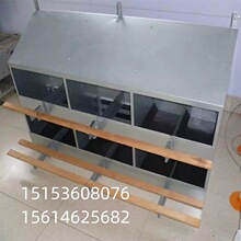 ��ɫ�u�C�|�� �N�u����|�� �|�� ���Ϯa����|��Ҏ����̖