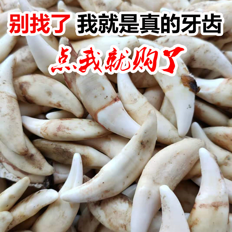 微信图片_20201121205134