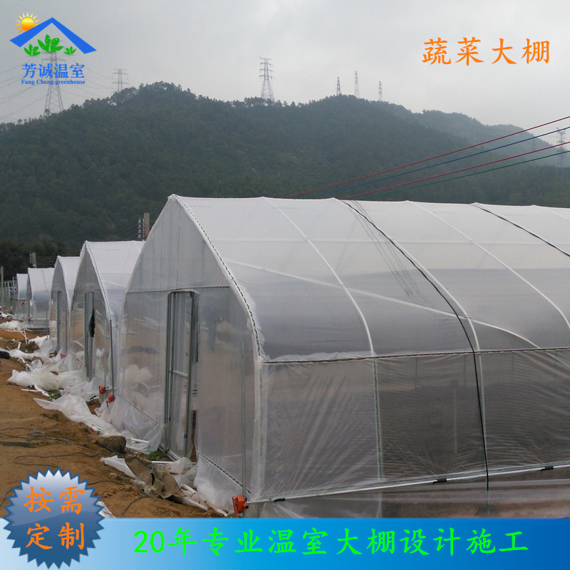 广东热镀锌管蔬菜育苗种植温室大棚 单栋大棚平方米造价 厂家供应