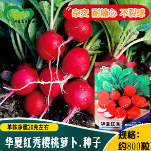 �A�ļt������}���N�� �r���̨�����߲˴�ˬ���׿�պ�uС�}����