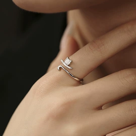 耳扣;戒指;耳环