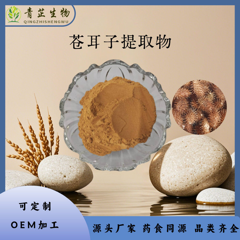苍耳子提取物 10:1 苍耳子粉 水溶粉  苍耳子浸膏 多种规格