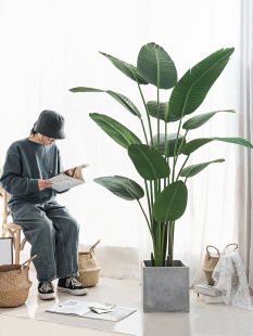 ����Gֲ��ֲ�����˽��߶��p���b��҃����Է��������B�͏d�[����