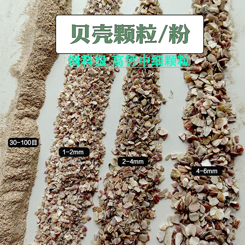 供应贝壳颗粒 动物补钙饲料添加剂贝壳砂 涂料胶粉用贝壳粉