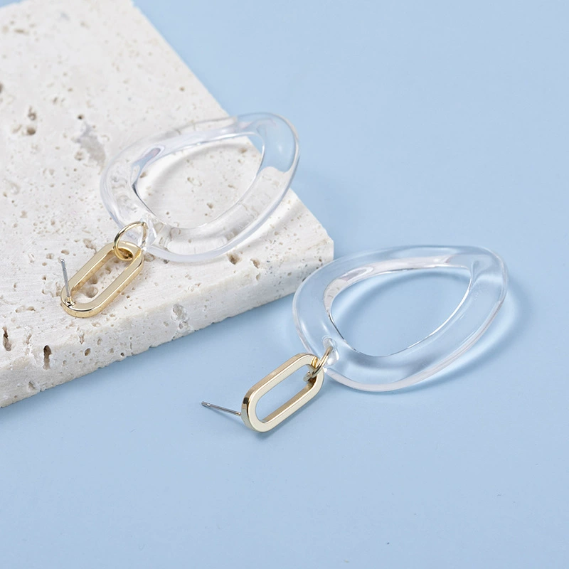 Fashionable transparent sophisticated earrings, European style, Birthday gift