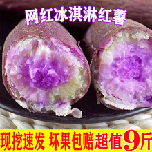 冰淇淋番薯一点红红薯新鲜现挖板栗地瓜农家自种9斤超粉蕃薯紫薯3