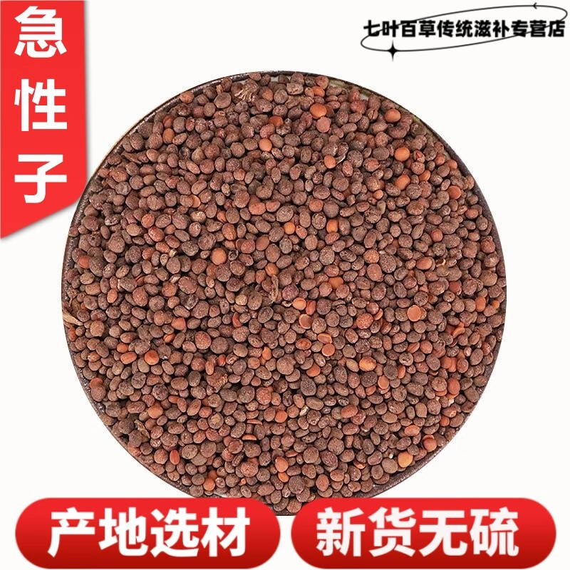 Garden Balsam Seed Ji Xing Zi 急性子 500g Dried Impatiens Balsamina Seeds Traditional Chinese Herb overview