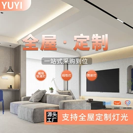 射灯;LED轨道灯;磁吸轨道灯