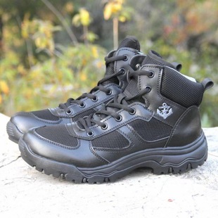 2025�¿�ʽŞͧ�����\�ӵ�ɽ�W�۴����������eӖ����ӖЬ���ӽq