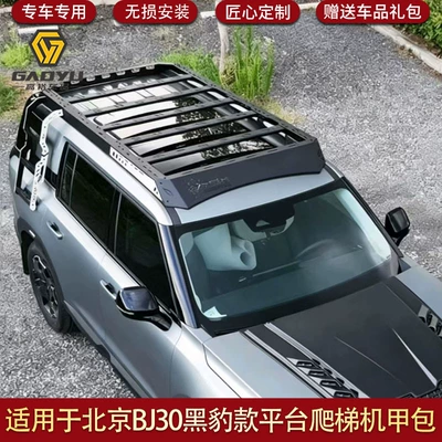 Ladder Mech-Style Modified Roof Luggage | Roof rack
