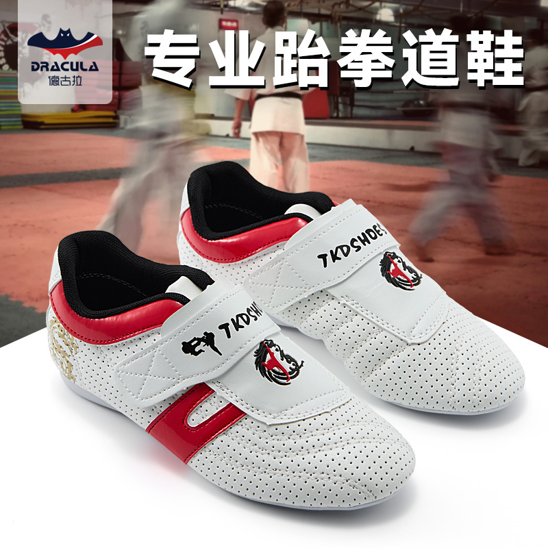 Taekwondo Shoes for Adults and Children, Soft-Soled Breathable Martial Arts Shoes, Karate Sanda Kung Fu Training Competition Shoes, Coach Shoes