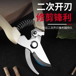 2024 new garden gardening pruning shears flower cutting fruit tree branch modification scissors special pruning tool