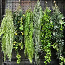 �Gֲ�ٗl ���~�ݱڒ����������r�в͏d�b����ٗlܛ�b�쾰