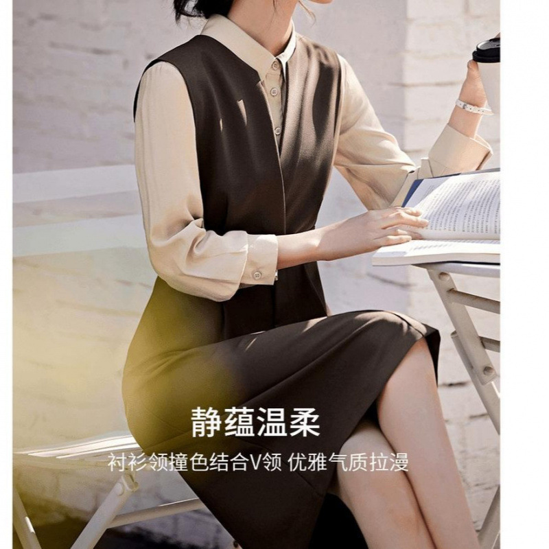 2025新款时尚气质优雅撞色拼接假两件通勤显瘦连衣裙女|undefined