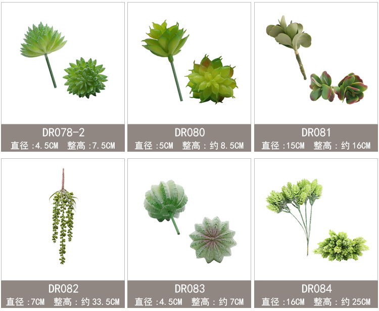 新单枝模板60-90_07