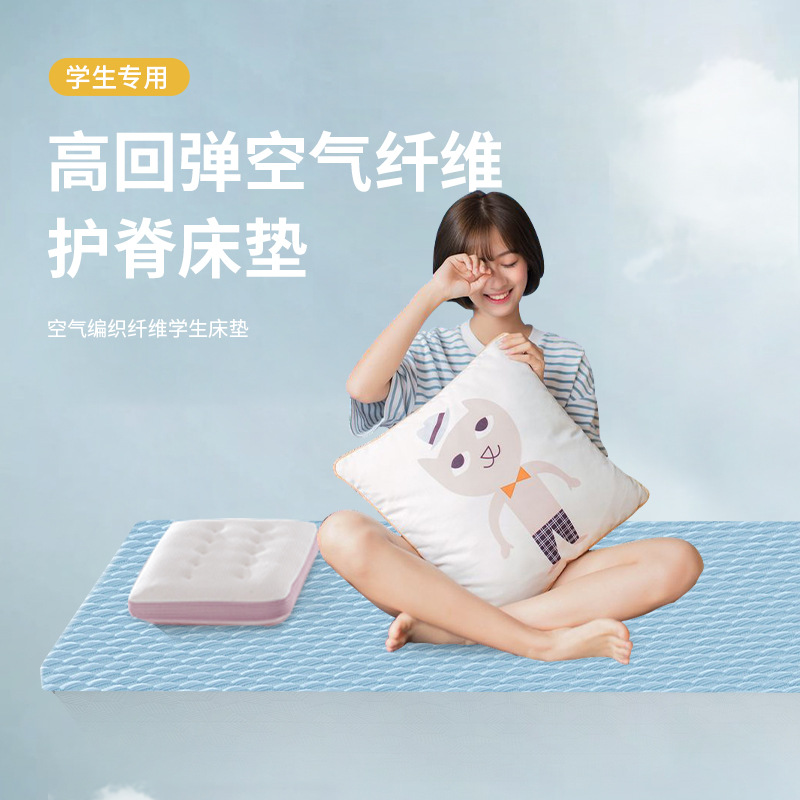 日本4D空气纤维床垫高分子科技全水洗透气环保榻榻米儿童护脊床垫