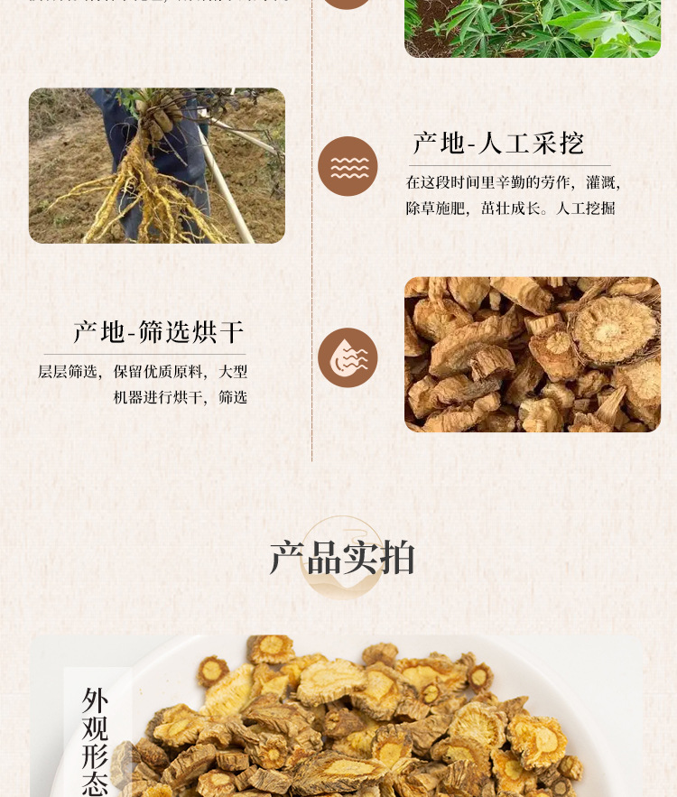 Fang Feng Dried Saposhnikovia Root 防风 Bulk Traditional Chinese Herb for Decoction and Herbal Soup quality and texture