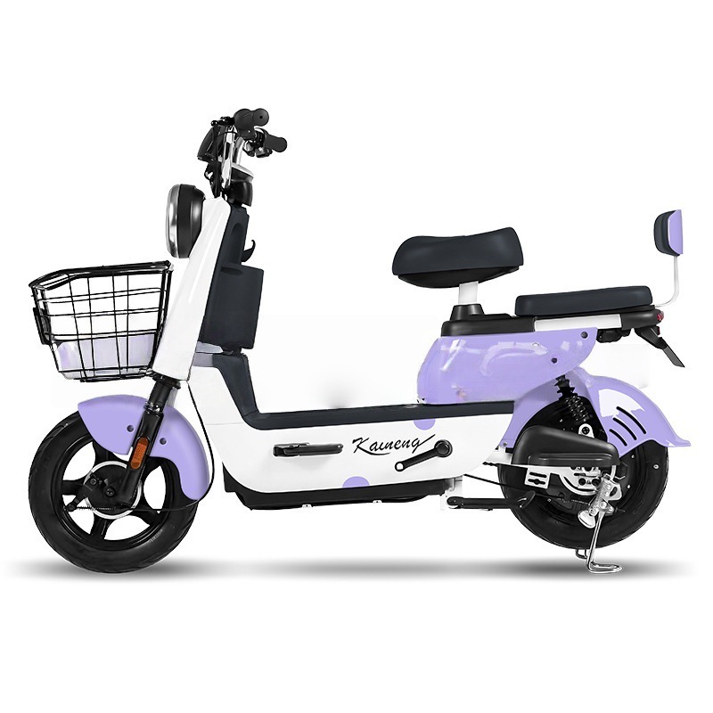 赛虎电动自行车源头厂家48V两轮电动车跨境批发助力电瓶车电单车|undefined