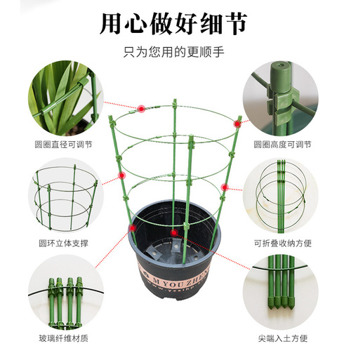 花支架月季花架植物盆室内花卉支撑杆园艺绿萝支架爬藤架客厅绿植