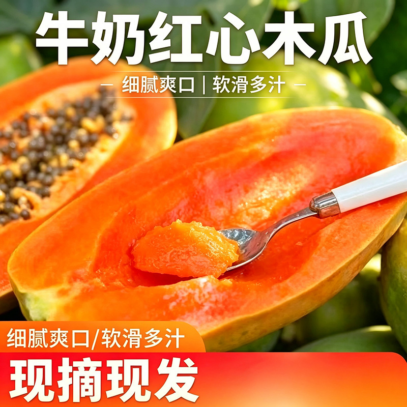 Yunnan rock sugar red heart papaya, Guangxi milk papaya, seasonal fruit for pregnant women, green skin, naturally ripened, wholesale in whole boxes Yunnan rock sugar red heart papaya, Guangxi milk papaya, seasonal fruit for pregnant women, green skin, naturally ripened, wholesale in whole boxes