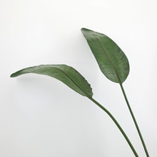 �����lPU�Q���m�~��̖С̖PU�����B�~ˇ�g�廨�~�ļ��~Ƭ����