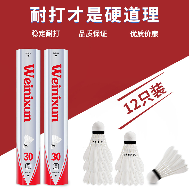 ウィニソンのバドミントンの規格品の初級は娯楽の訓練のボールを練習します。