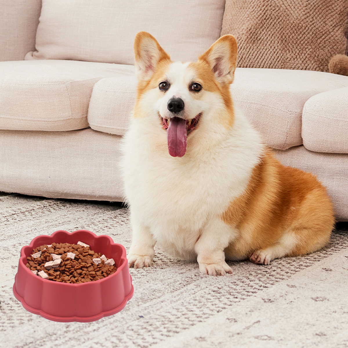 Tazón para perros transfronterizo Tazón para perros Tazón para mascotas anti-volteo Tazón de arroz para perros Tazón de agua Tazón de plástico para perros Tazón para gatos al por mayor