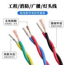 ���˼ε�t��ZCN-RVS 2*2.5���~���b��������ܛ늾�