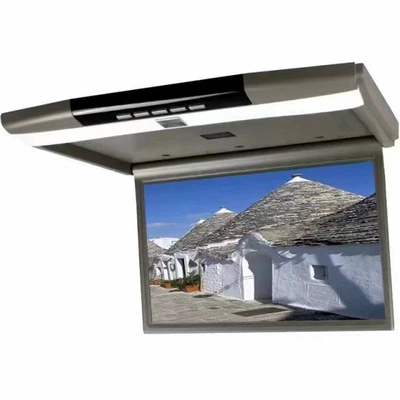 17 inch MP5 Car display - grey