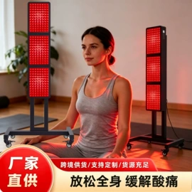 其他专用灯具;面罩美容仪