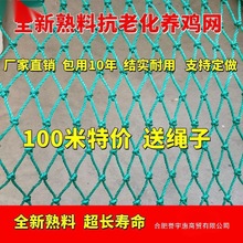 拦鸡网养鸡围网家禽养殖网山鸡网尼龙网菜园围栏网塑料网户外天网