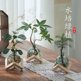 ˮֲlؔȤk҃Gֲؔ[ļB