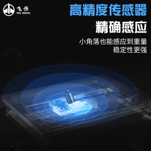 Flyhong E218C Counting 100kg High-Precision Desktop Electronic Scale 200kg Floor Scale