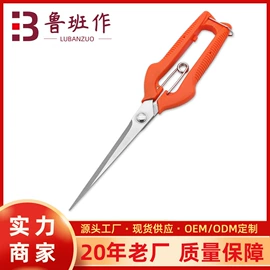 家用剪刀;修枝剪;厨用剪刀