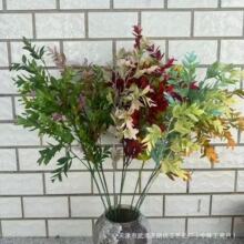 ����Gֲ�F���� ���Q���l ɭϵ��Y�ý����û��� �͏d�[���ٻ�