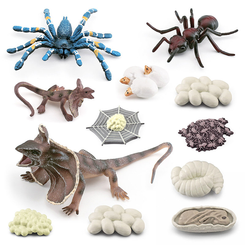 Simulación transfronteriza insecto modelo de ciclo de crecimiento animal captura de aves Araña Hormiga paraguas lagarto proceso de crecimiento decoración juguete
