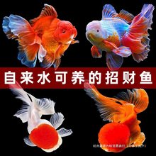 ���~���~��ˮ�~���^�p�~�{���^���~����ԁ�ˮ���B�ͻ��~�ݽ�С�~