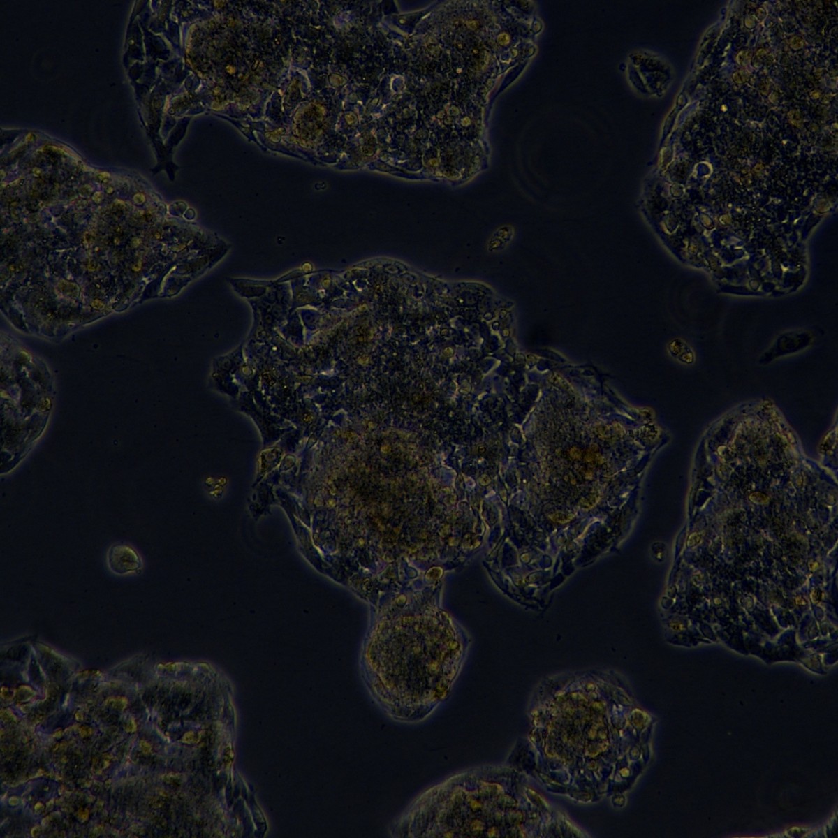 2025-11-04 14:42:21.jpg