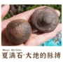 堪萨斯堪萨斯州天然公母原石