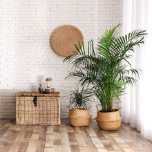 新款直播背景布3D立体北欧风网红淘宝服装室内简约款拍照ins日韩