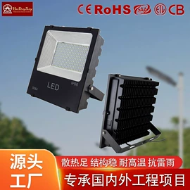 太阳能灯;路灯;投光灯