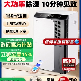 Free Shipping High-Power Dehumidifier Household Dehumidifier Industrial Warehouse Basement Moisture Absorption Dehumidifier Dyd-D