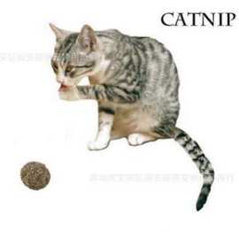 热销无添加猫薄荷球环保逗猫玩具组合宠物玩具促消化猫咪用品批发